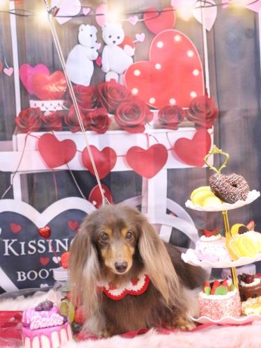 20250202ココアちゃん